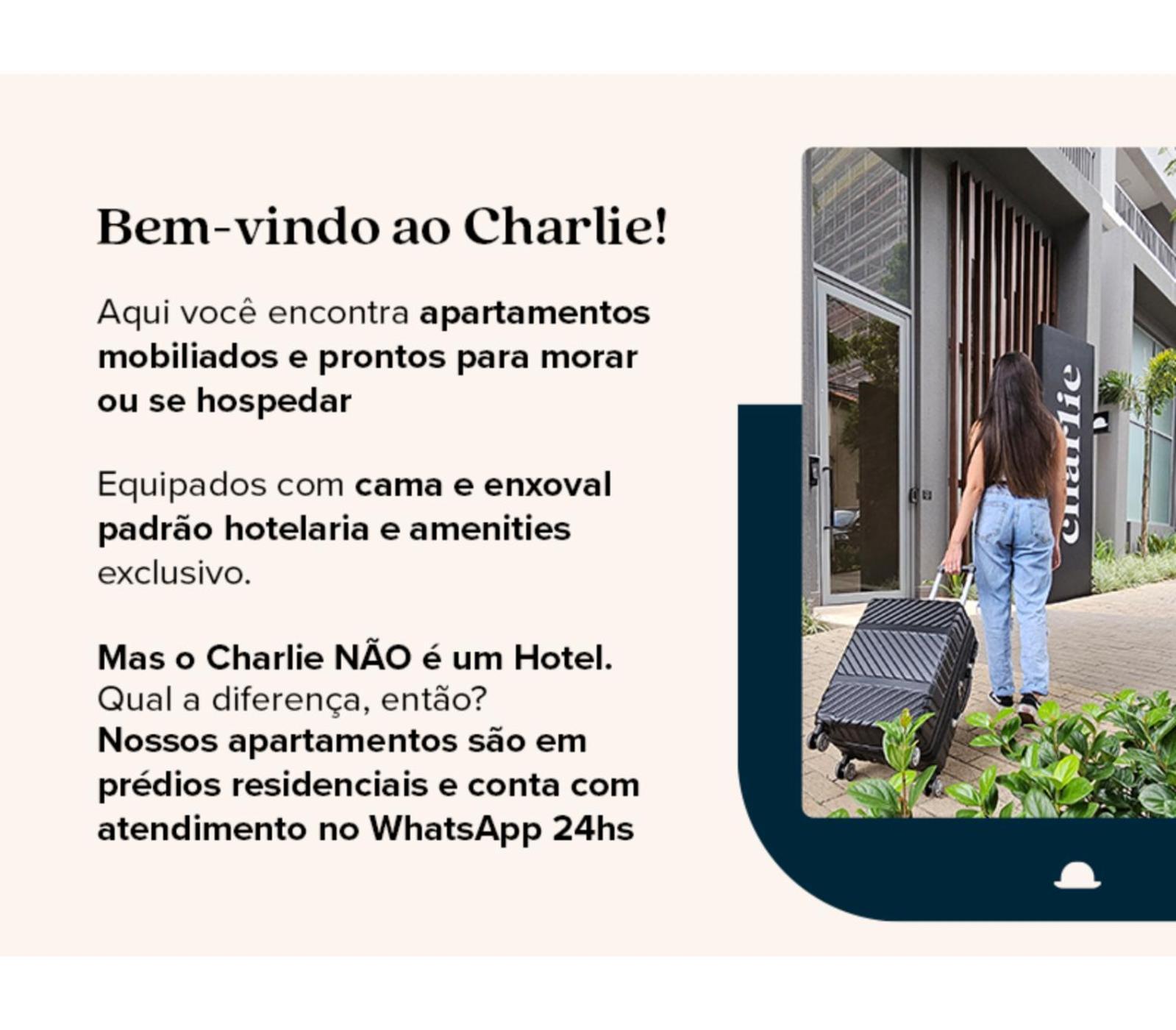 Charlie Girassol Madalena São Paulo